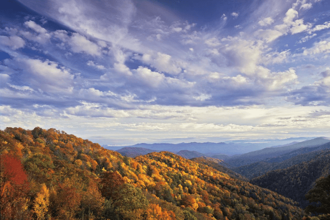 Family fun and southern sun: Tennessee adventures for all ages